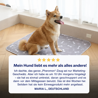 PuppySafe - Die letzte Welpenunterlage, die du je brauchen wirst.